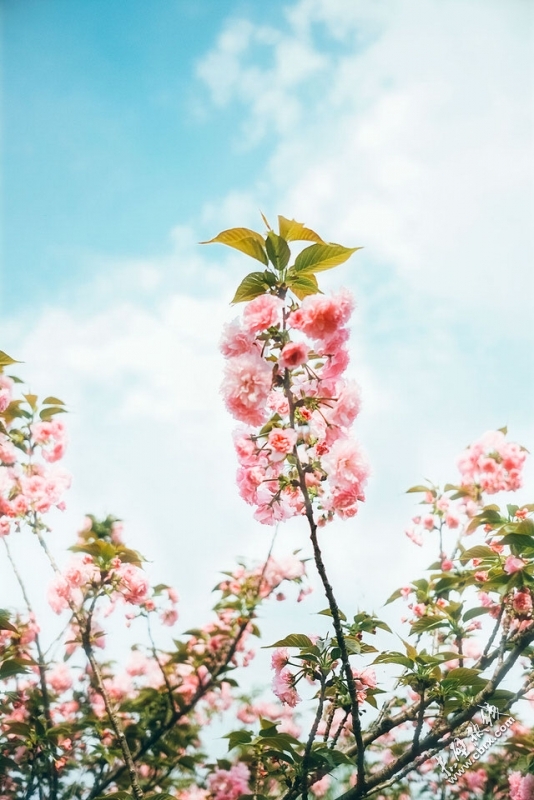 ںӱ (11).jpg